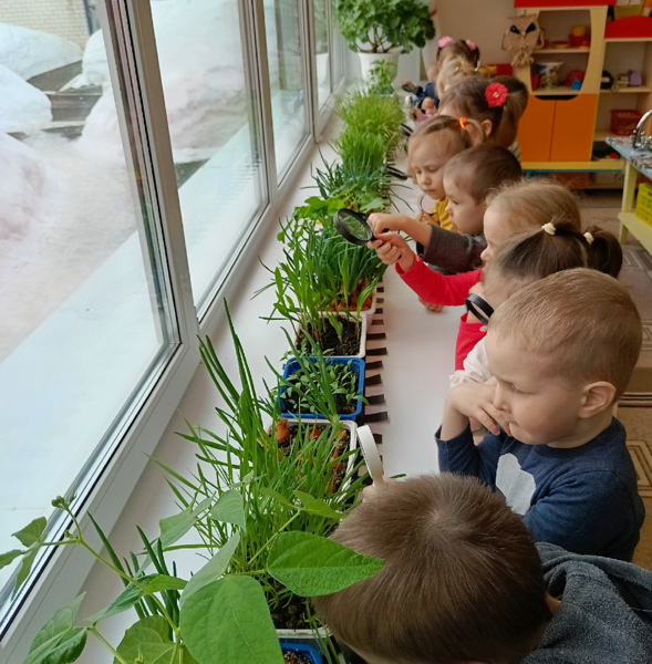 Продолжаются работы по реализации проекта "Агролаборатория в детском саду"