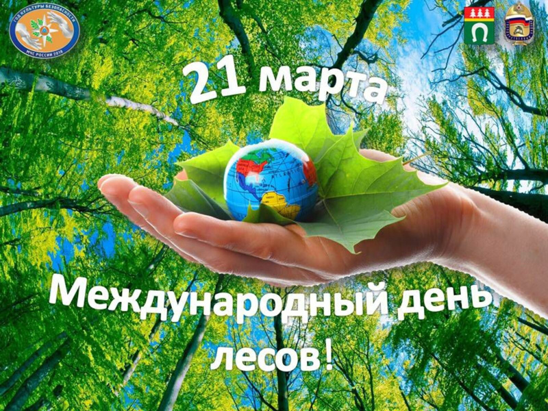 🌳🌲🌿21 марта - Международный день лесов🍃