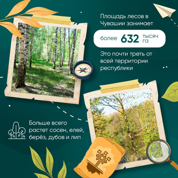 Сегодня, 21 марта, отмечается Международный день лесов!