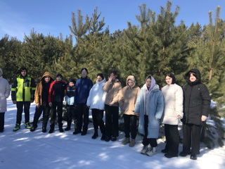 Виртуальные экскурсии по лесным тропам