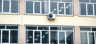 Акция «Журавли на окне» в память о погибших в«Крокус Сити Холле»