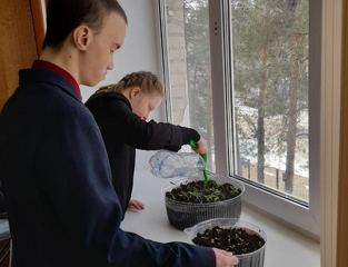 На уроках ОСЖ ребята учатся ухаживать за растениями