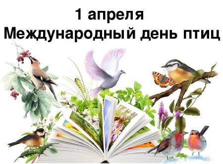 Книжная экспозиция «Крылатые соседи»