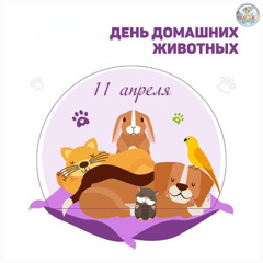 11 апреля - День домашних животных в России.