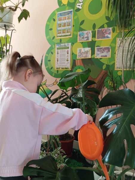Эколята - дошколята ухаживают за комнатными растениями