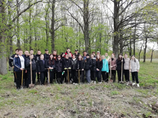 🌳🌲Ученики Урмарской средней  школы принимают активное участие в акции "Сохраним лес"