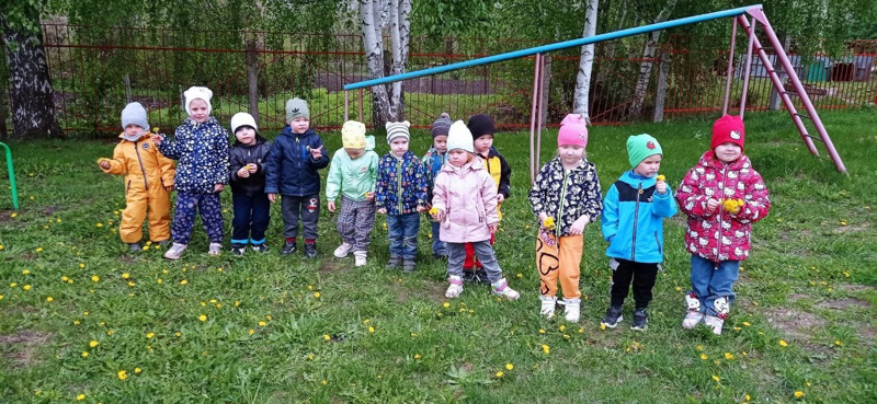 На улице — весна, на травке появились солнечные одуванчики.