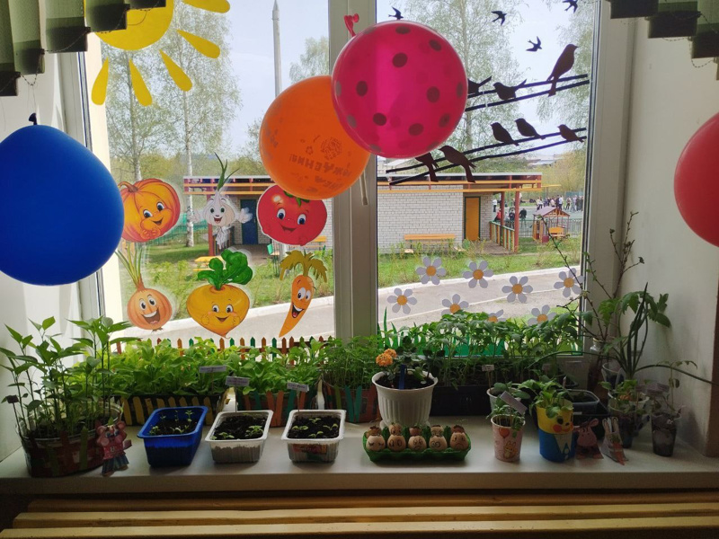 В детском саду прошёл смотр-конкурс "Огород на окне".