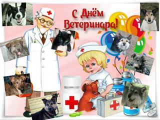 27 апреля - Международный день ветеринарного врача.