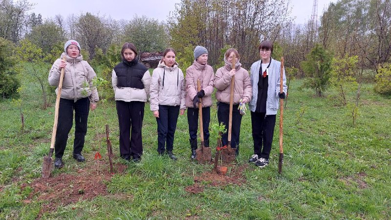 Сирень – это символ весны, светлого праздника Победы