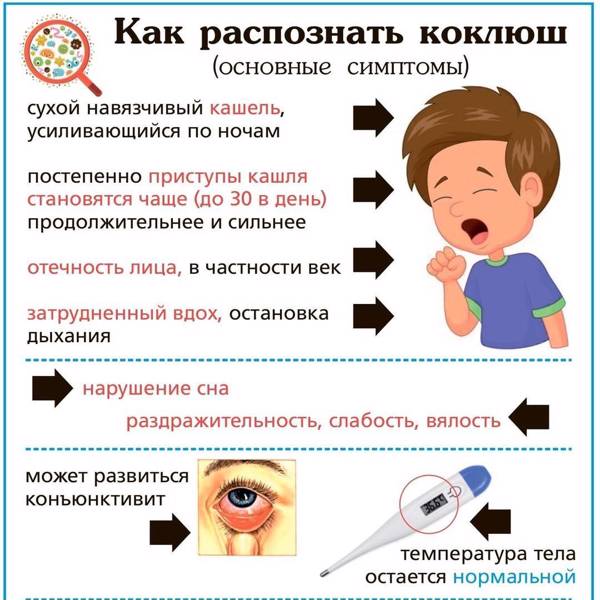 Меры профилактики коклюша.