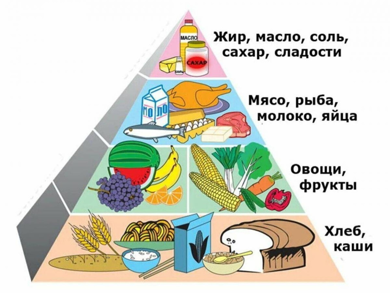 Почему важно правильно питаться?