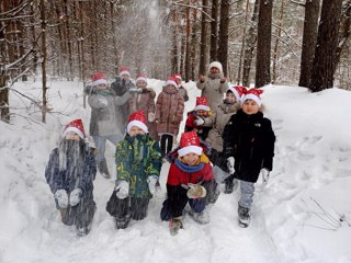 Экскурсия в зимний лес.