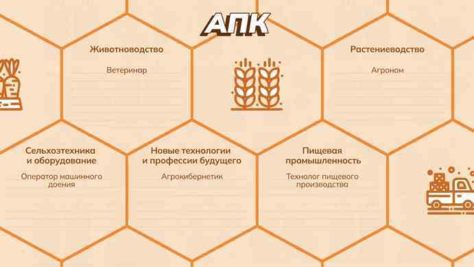 Прошло профориентационное занятие «Россия плодородная: узнаю о профессиях и достижениях АПК страны»