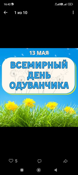 13 мая - Всемирный день одуванчика!