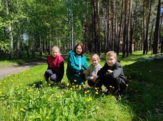 🌿🌳🍀🌲Маршрут выходного дня: "Прогулка в лес"🌲🌳🍀🌿