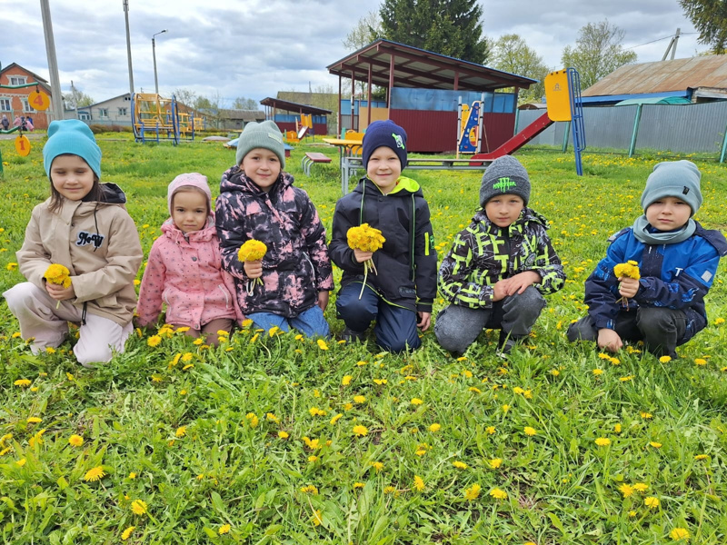 Всемирный день одуванчика