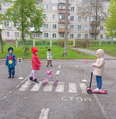 Мероприятие к проекту " Школа светофорных наук".