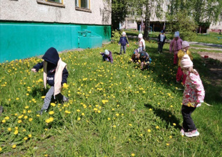 «Золотой" луг» в "Журавлике"