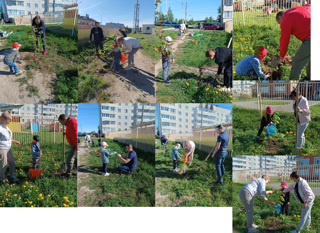 Акция «Посади дерево»