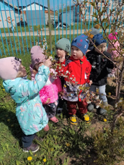 Наблюдения за изменениями в природе