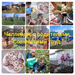 Челлендж с родителями «Совместный труд»