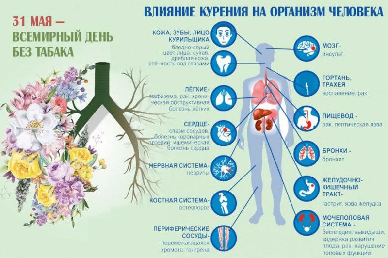 31 мая отмечается Всемирный день без табака