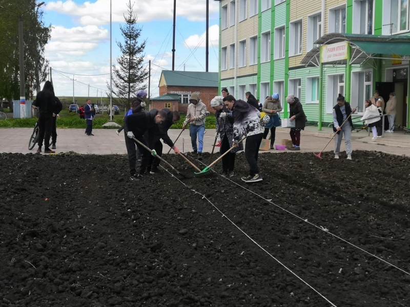 Работа на пришкольном участке