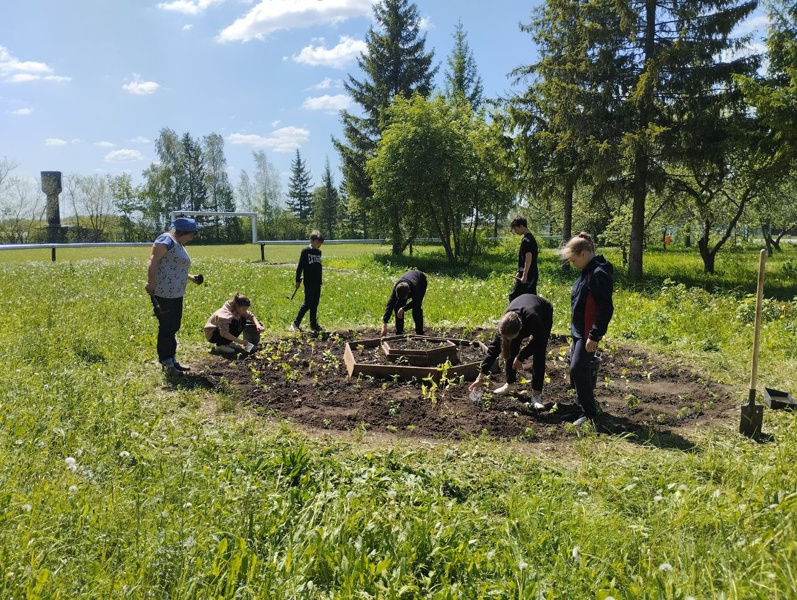 В школе началась пятая трудовая четверть.