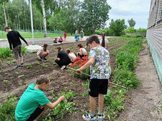 «День цветов» в  пришкольном лагере.