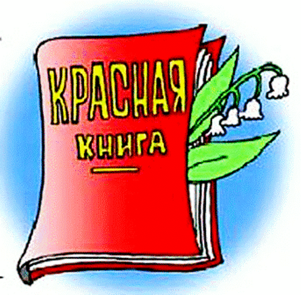 Седьмой день оздоровительного лагеря при МБОУ «Яльчикская СОШ» прошёл очень интересно и увлекательно