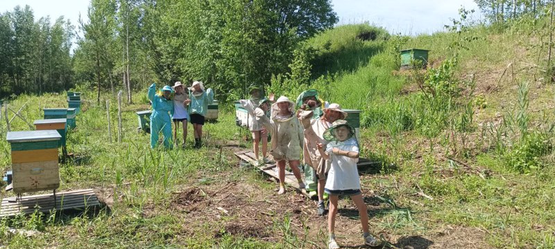 Пришкольный лагерь: экологическая экскурсия на пасеку