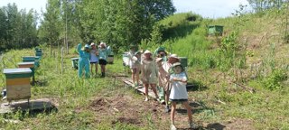 Пришкольный лагерь: экологическая экскурсия на пасеку