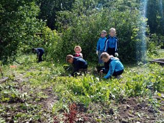 photo_5465192489859275240_y.jpg