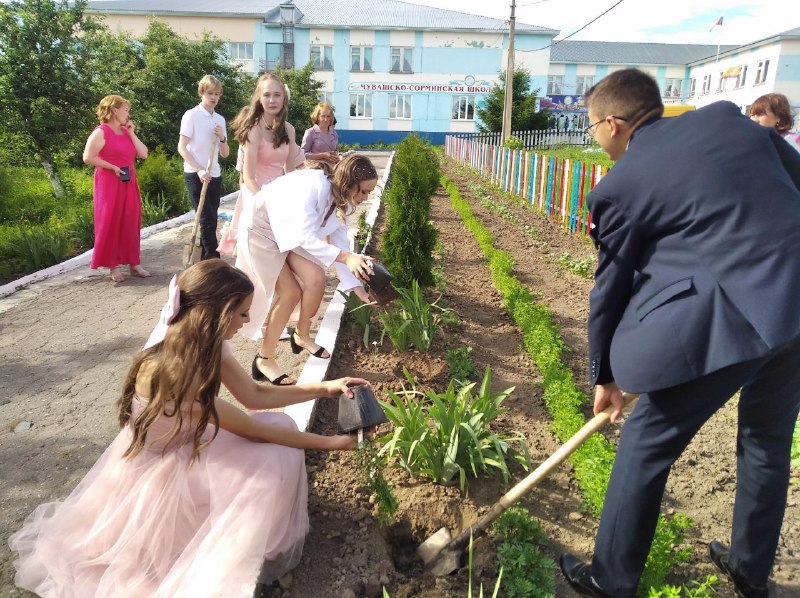 Пополнение аллеи выпускников новыми саженцами.