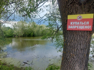 На территории Чувашской Республики вступил в силу закон о запрете на нахождение детей на водных объектах