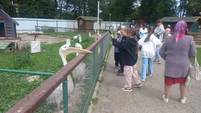 Экскурсия в город Чебоксары