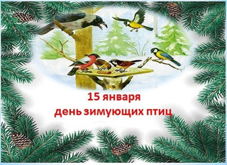 В 6 классе прошла беседа "День зимующих птиц в России"