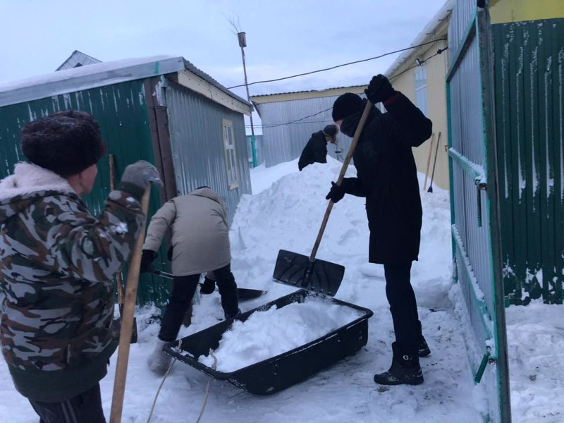 Волонтёры в деле