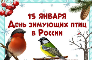 15 января отмечается Всероссийский  экологический праздник "День зимующих птиц"