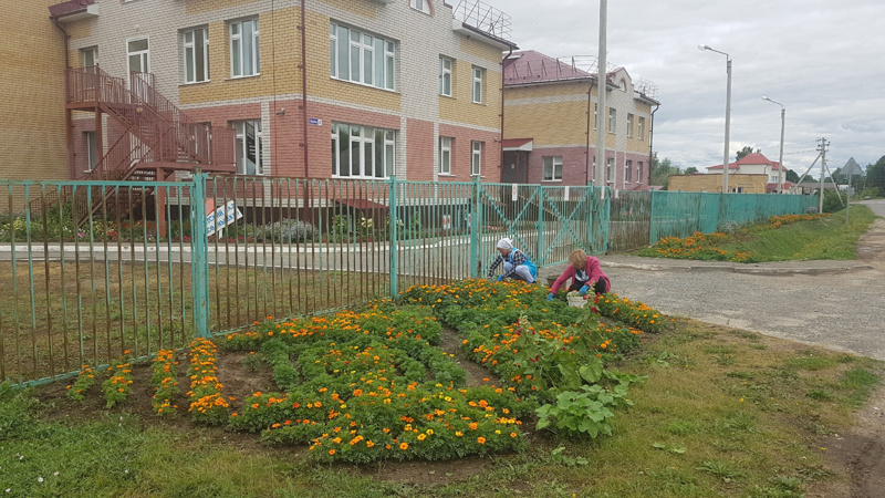 Подготовка к приемке образовательных организаций