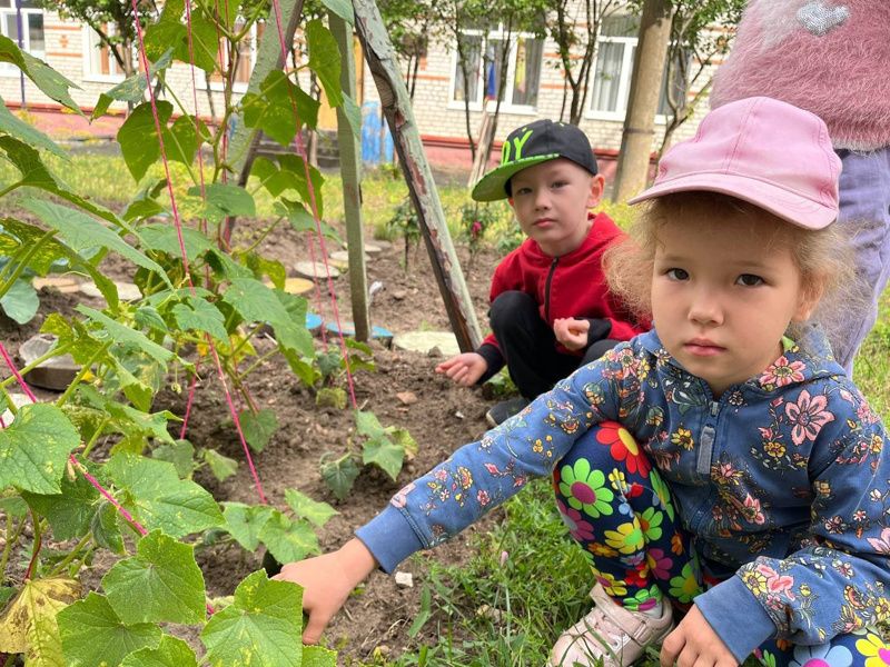 Труд в природе