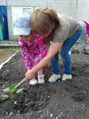 🌱Дела огородные🌱