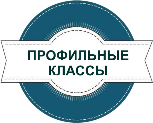 Профильные классы