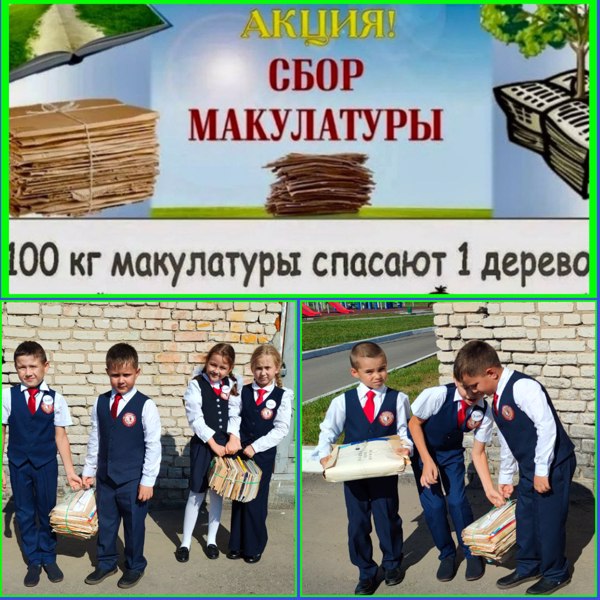 Сдай макулатуру - спаси дерево!