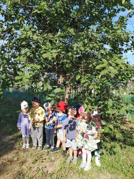 Целевая прогулка в младшей группе в  "лесной уголок"