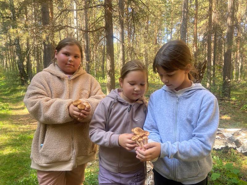 В гостях у осени