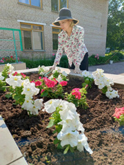 У цветов не бывает будней, они всегда одеты празднично