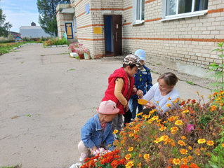 Собираем семена