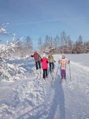 Лыжная прогулка по зимнему саду